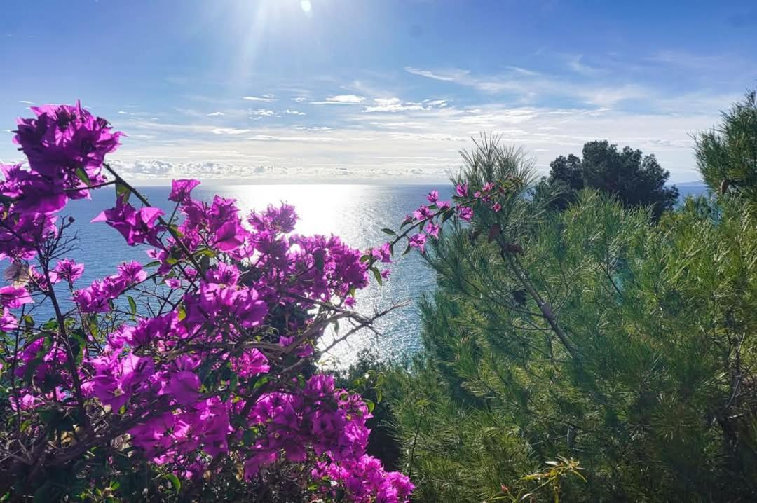 Dolci Risvegli Appartamento Vista Mare ヴェンティミーリア エクステリア 写真