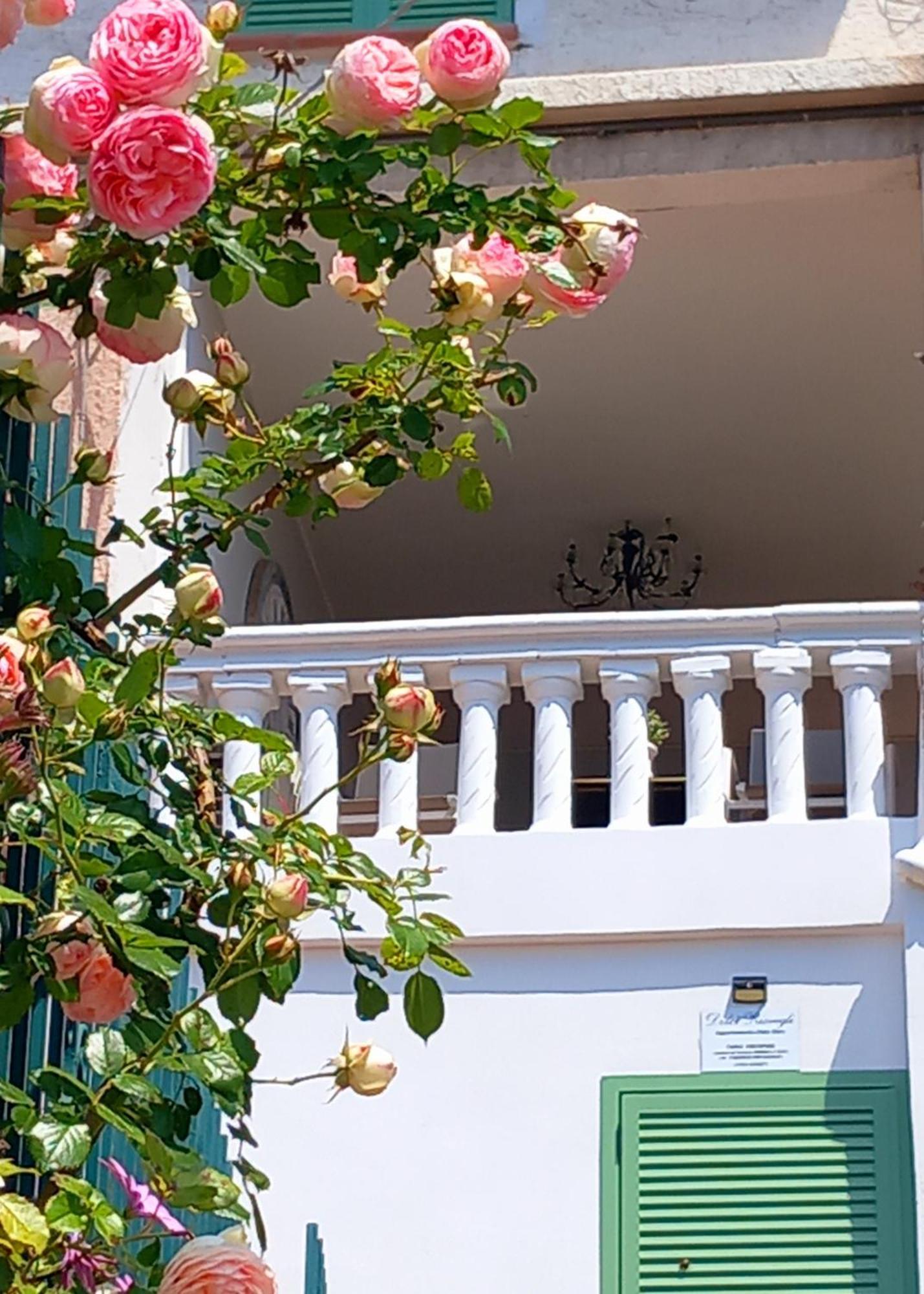 Dolci Risvegli Appartamento Vista Mare ヴェンティミーリア 部屋 写真